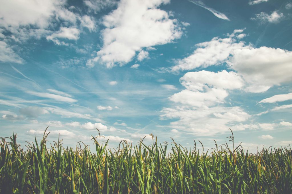 Key Factors That Affect Farm Value
