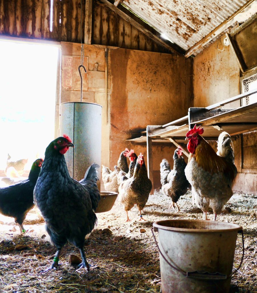 Selling Your Agricultural Property
